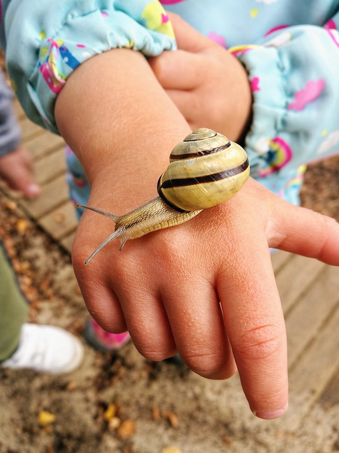 Przedszkole Montessori Świder